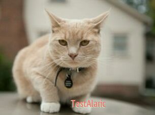 TestAlaric
