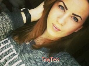 TinyTess