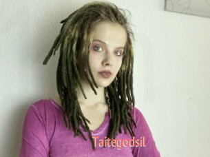 Taitegodsil