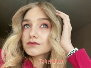 Taitehallett