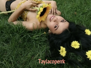 Taylacoperrk