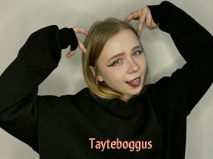 Tayteboggus