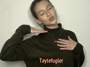 Taytefugler
