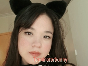 Terminatorbunny
