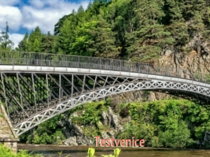 Testvenice