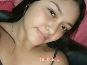 Tinnimark