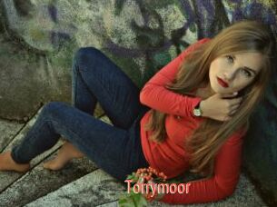 Torrymoor