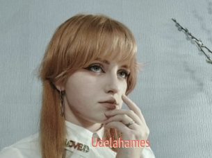 Udelahames
