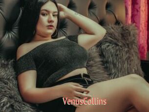VenusCollins