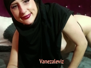 Vanezaleviz
