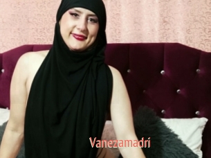 Vanezamadri