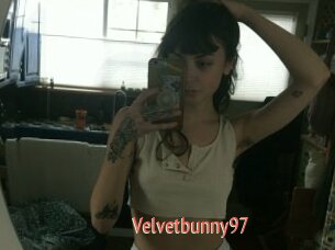 Velvetbunny97