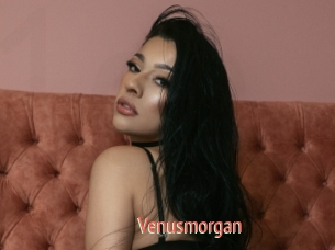 Venusmorgan