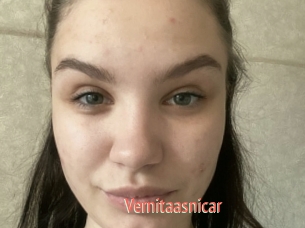 Vernitaasnicar