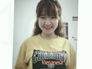 Vienanesa