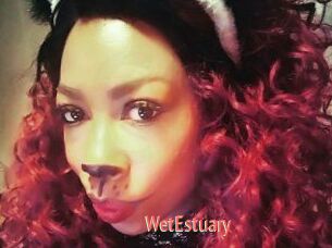 WetEstuary
