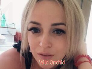 Wild_Orrchid