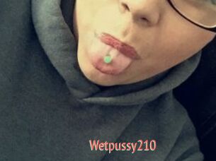 Wetpussy210