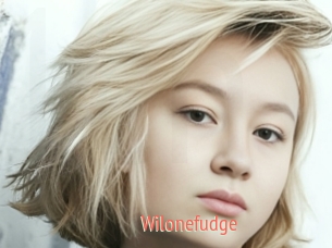 Wilonefudge