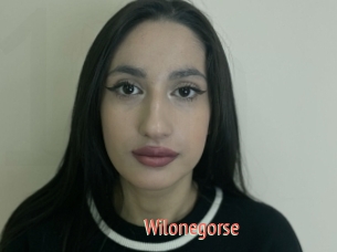 Wilonegorse