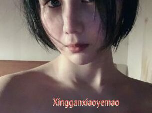 Xingganxiaoyemao