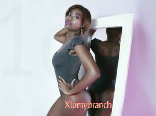 Xiomybranch