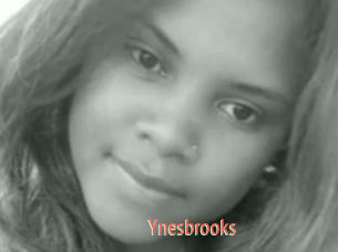 Ynesbrooks