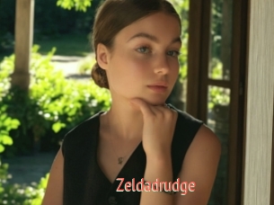 Zeldadrudge