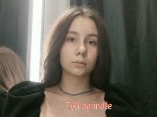 Zeldagrindle
