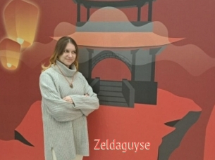 Zeldaguyse